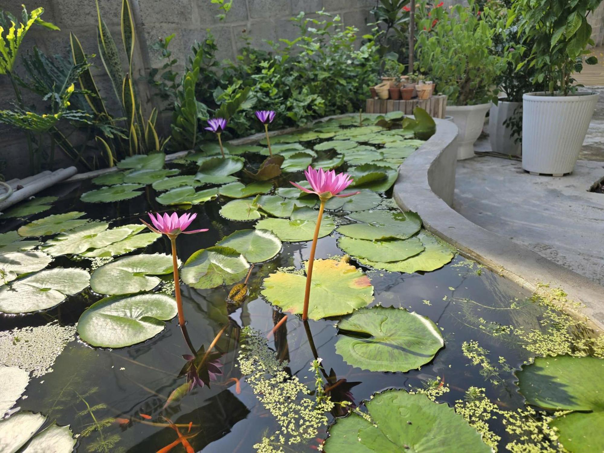 Lac House Mui Ne Zewnętrze zdjęcie